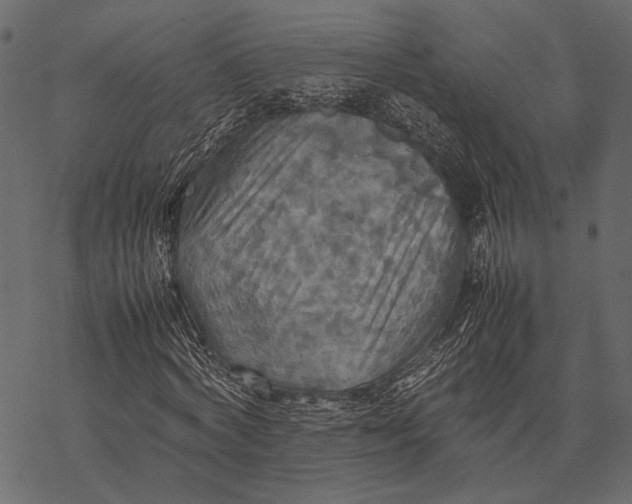 X0000077330772200611031730