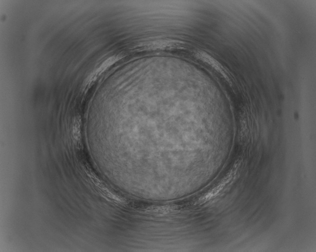 X0000077330778200611031729
