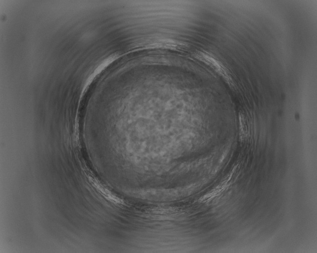 X0000077330780200611031729