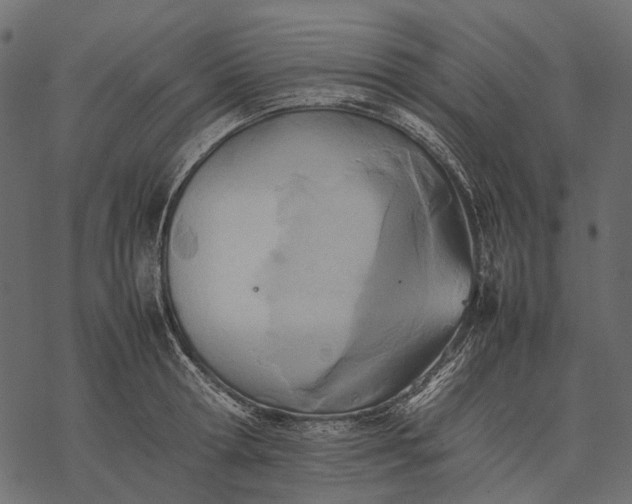 X0000077330802200611031729