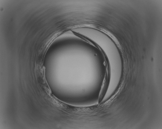 X0000077330809200611031729