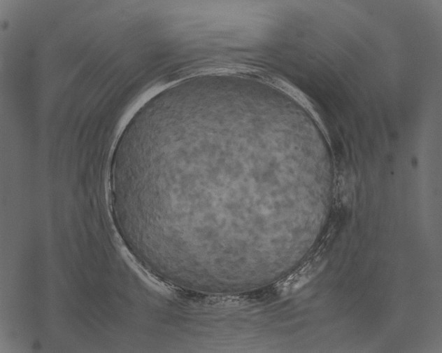 X0000077330811200611031729