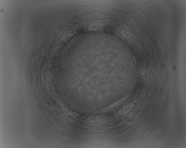 X0000077330817200611031728