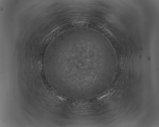 X0000077330821200611031728