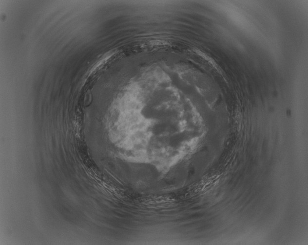 X0000077330823200611031728