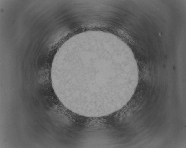 X0000077330824200611031728
