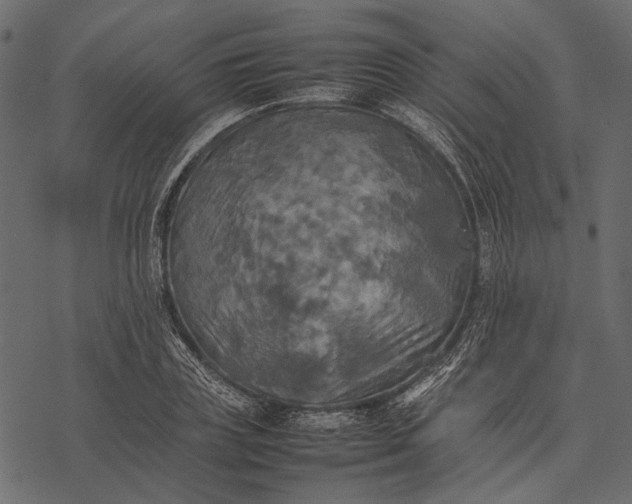 X0000077330835200611031728