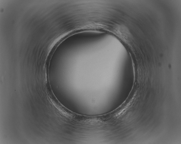 X0000077330838200611031728