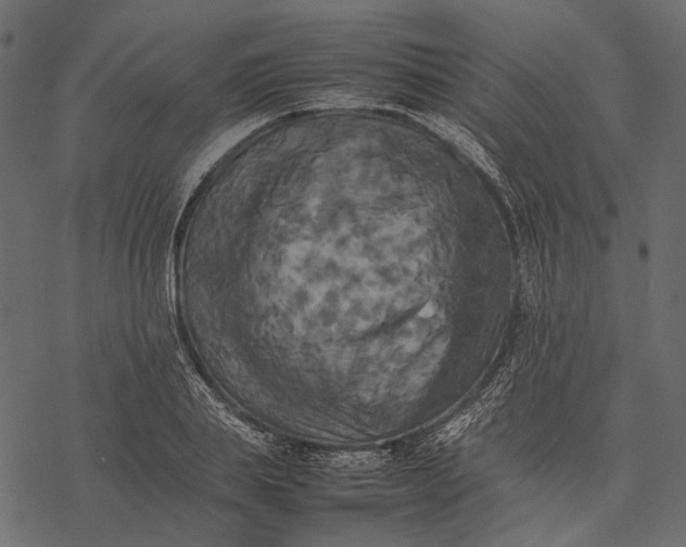 X0000077330839200611031728
