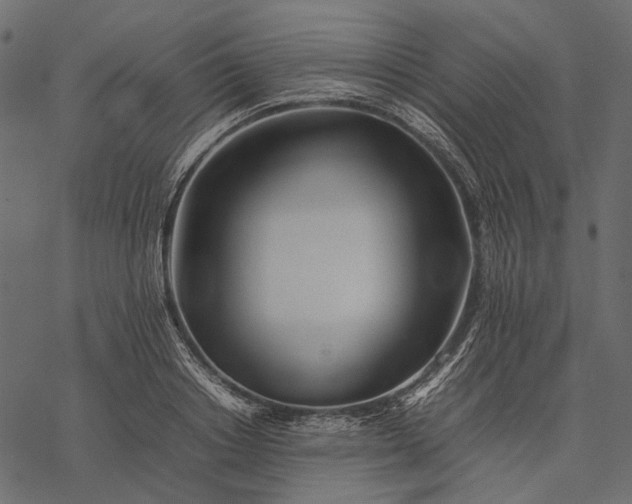 X0000077330842200611031728