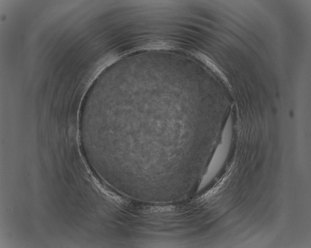 X0000077330845200611031728
