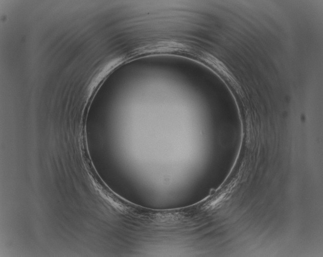 X0000077330850200611031729