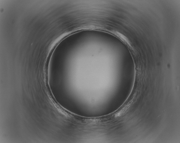 X0000077330854200611031729