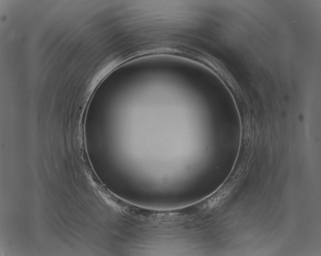 X0000077330858200611031729