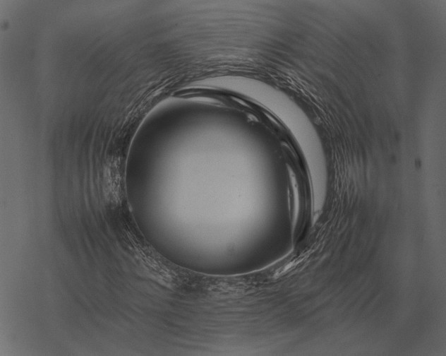 X0000077330868200611031728
