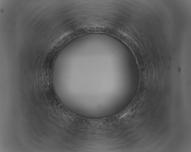 X0000077330870200611031728