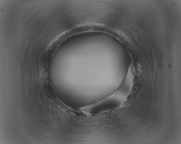 X0000077330872200611031728