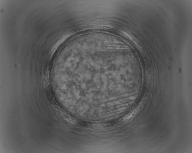 X0000077330875200611031728