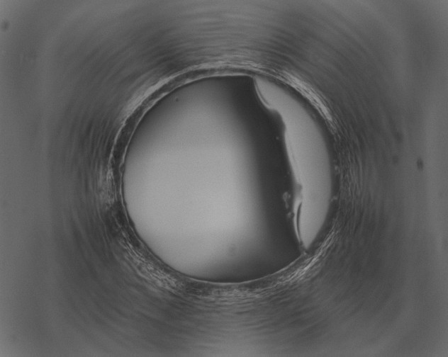 X0000077330876200611031728