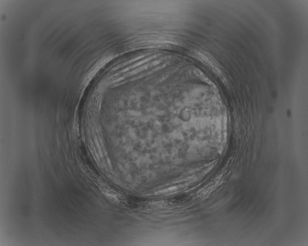 X0000077330883200611031728