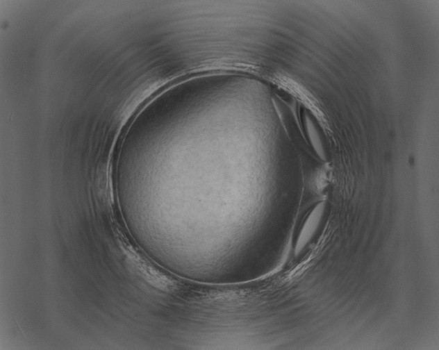X0000077330892200611031728