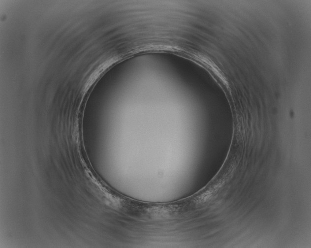 X0000077330898200611031727