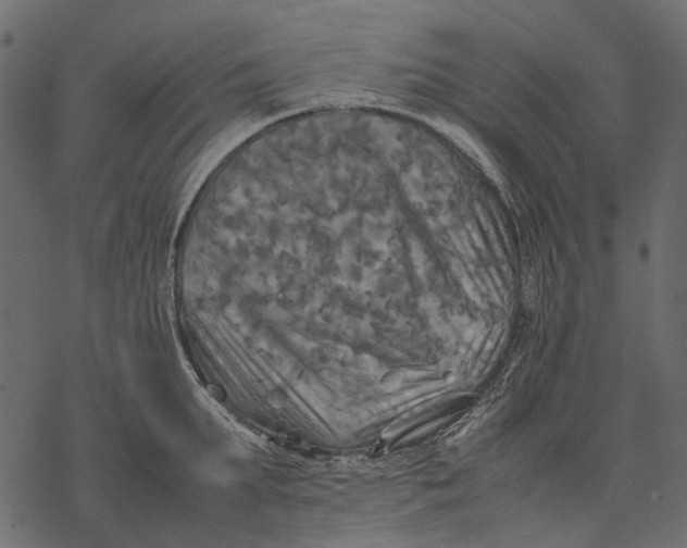 X0000077330903200611031727