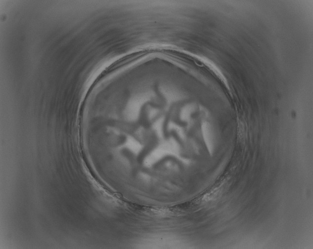 X0000077330911200611031727