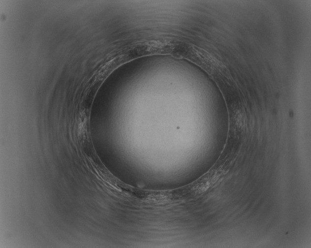 X0000077330914200611031726