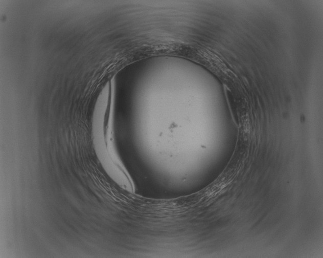 X0000077330916200611031727