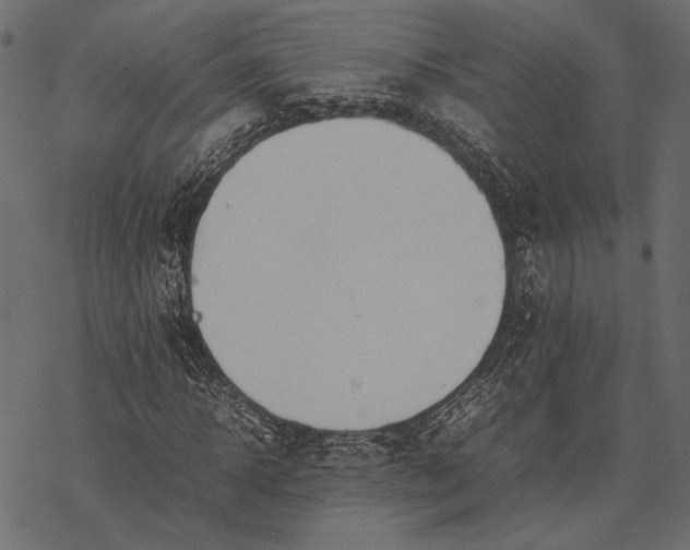 X0000077330918200611031727