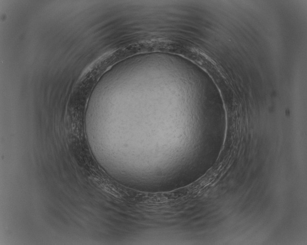 X0000077330919200611031727