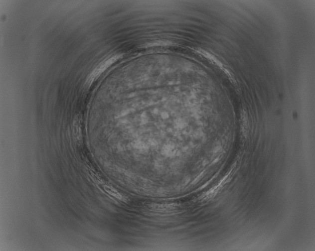 X0000077330921200611031727