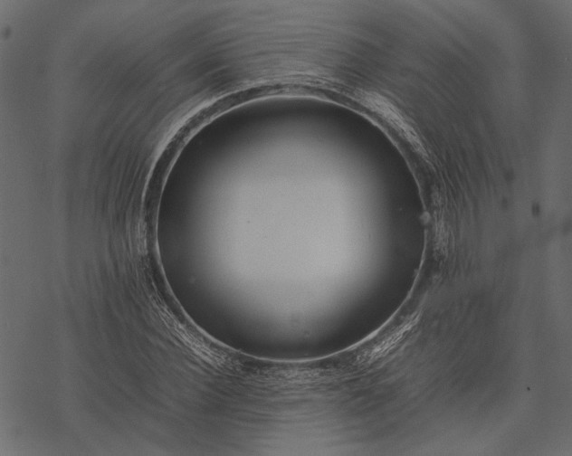 X0000077330924200611031727