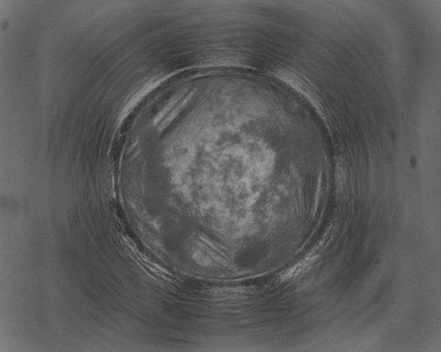 X0000077330925200611031727
