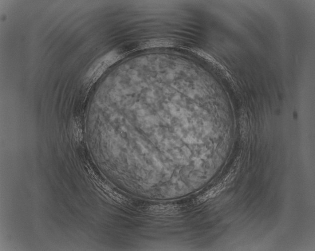 X0000077330929200611031727