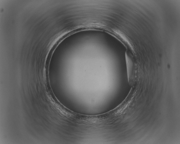 X0000077330932200611031727