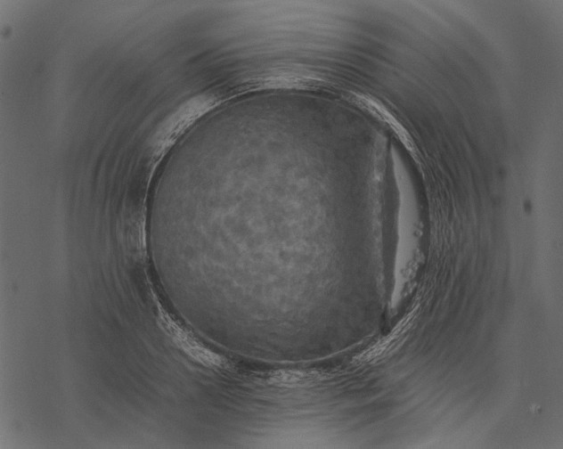 X0000077330938200611031727