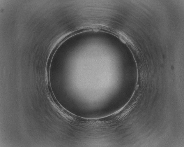 X0000077330940200611031727