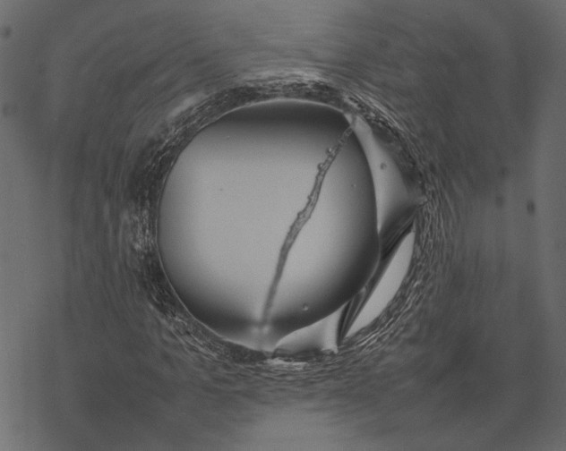 X0000077330965200611031726
