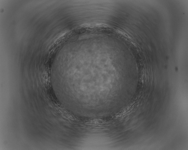 X0000077330966200611031726