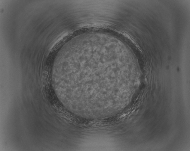 X0000077330967200611031726