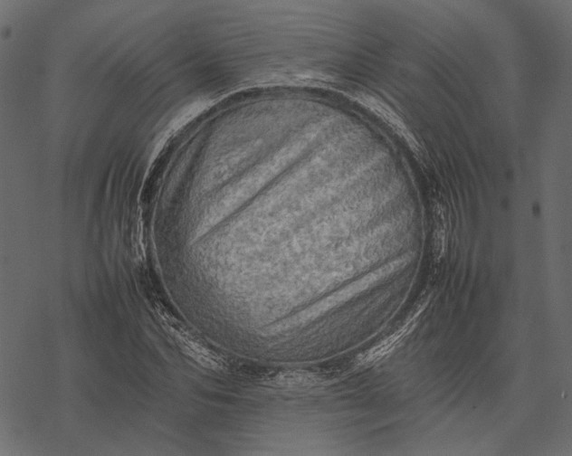 X0000077330974200611031726