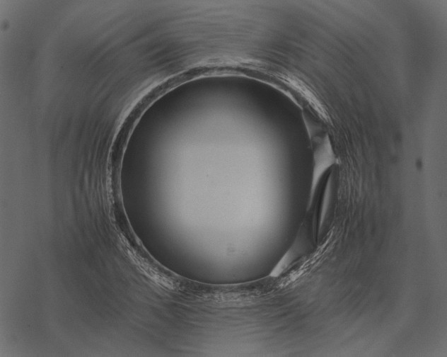 X0000077330976200611031726