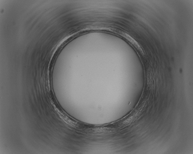 X0000077330988200611031726