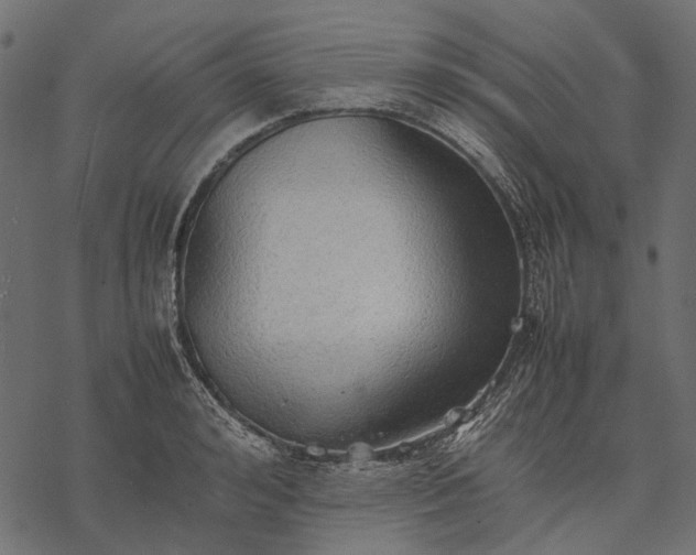 X0000077330992200611031726