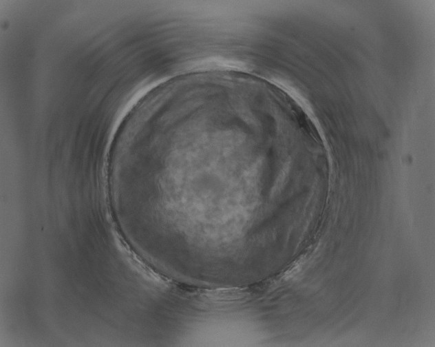 X0000077331008200611031726