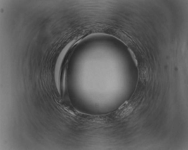 X0000077331010200611031725