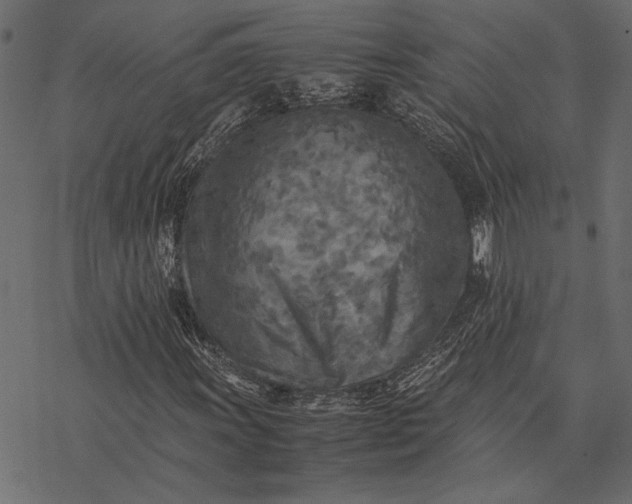 X0000077331011200611031725