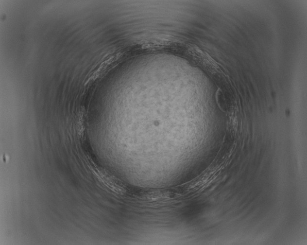 X0000077331012200611031725